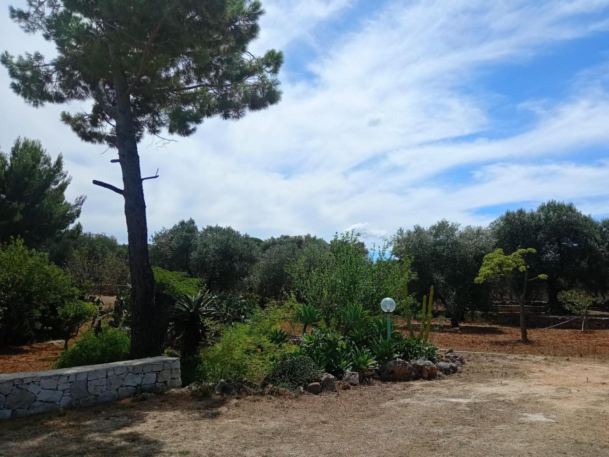 Villa Del Sole Specchiolla Exterior photo